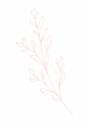 Decoración floral